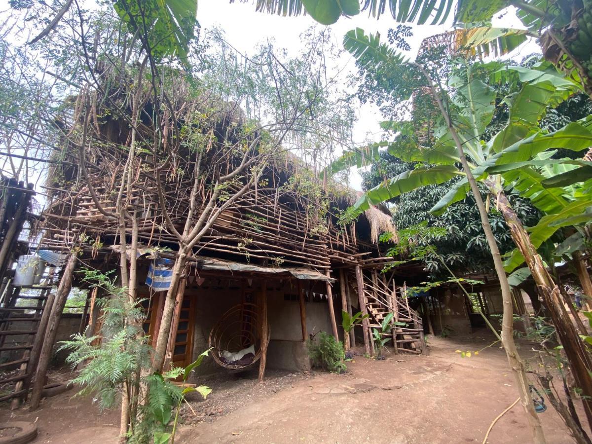 Albergue Mountain Bikes House Moshi Exterior foto