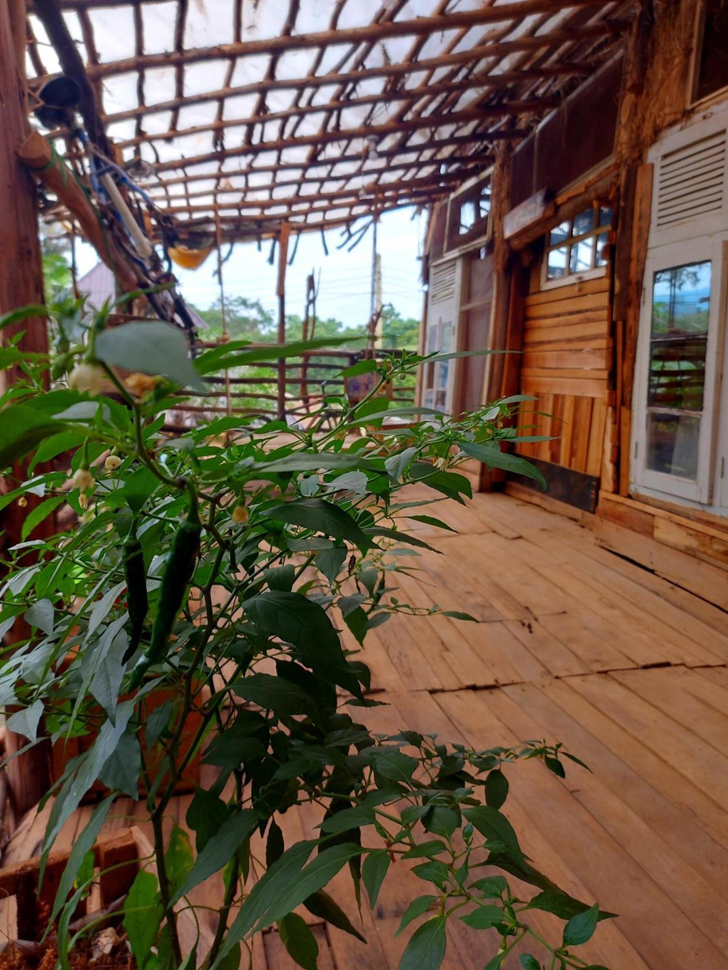 Albergue Mountain Bikes House Moshi Exterior foto