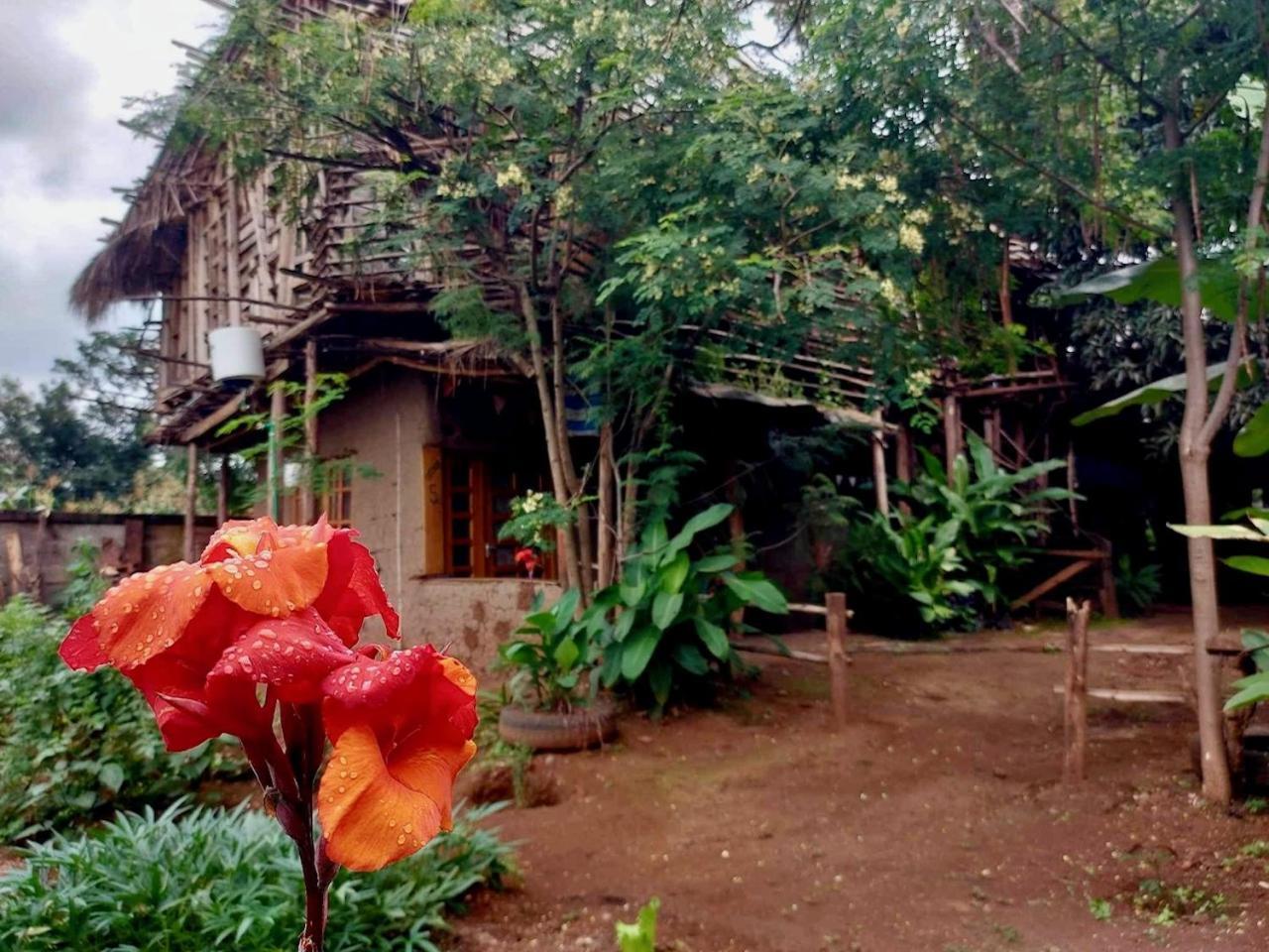 Albergue Mountain Bikes House Moshi Exterior foto